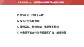 如何培训头条好友的粉丝,高效培训好友粉丝的秘诀解析
