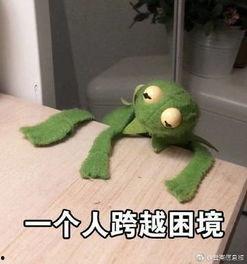 咸鱼躺吃瓜,揭秘网络时代的“躺平”生活态度