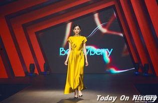 偶像来了明星身高对比,偶像来了明星身高对比大盘点