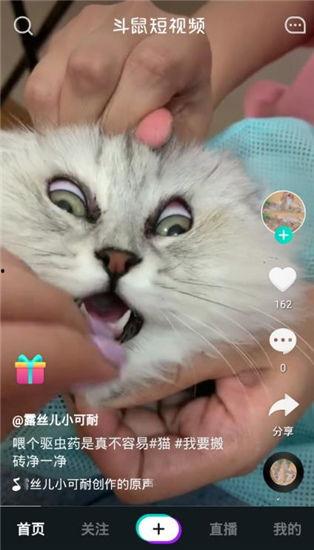 番鼠爆料视频大全最新版,最新版精彩内容大盘点