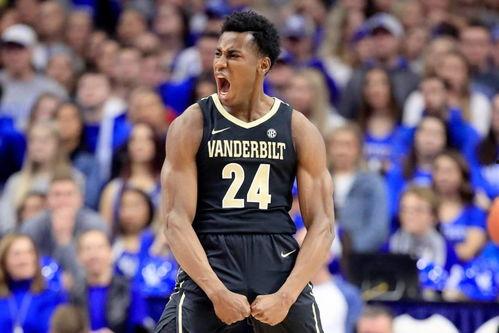 绿军粉丝爆料视频播放在线观看,揭秘视频在线观看全攻略